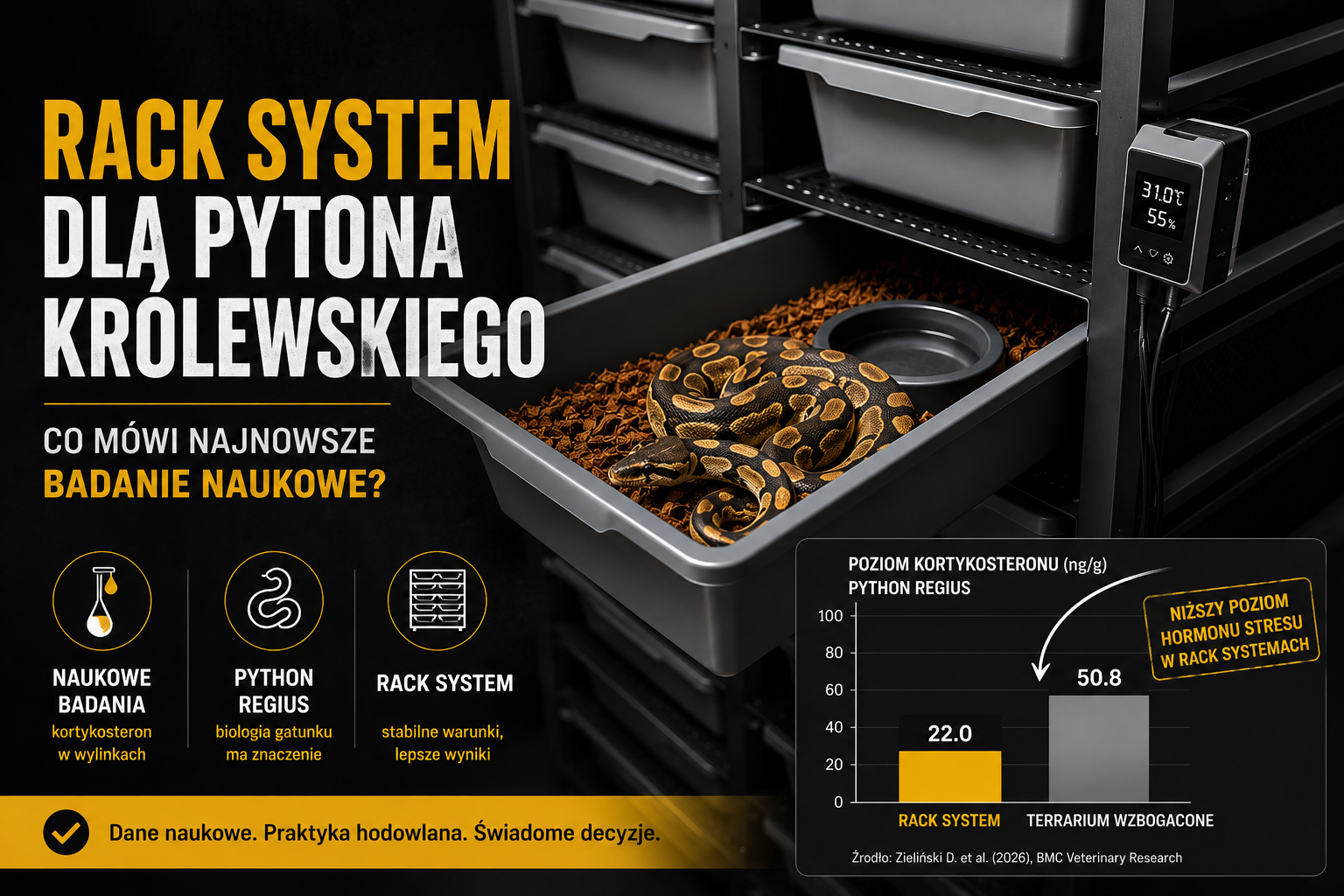 Rack system dla pytona królewskiego – co mówi nauka?